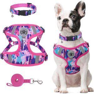 Reflective Dog Harness & Leash Set With Quick Release Buckle